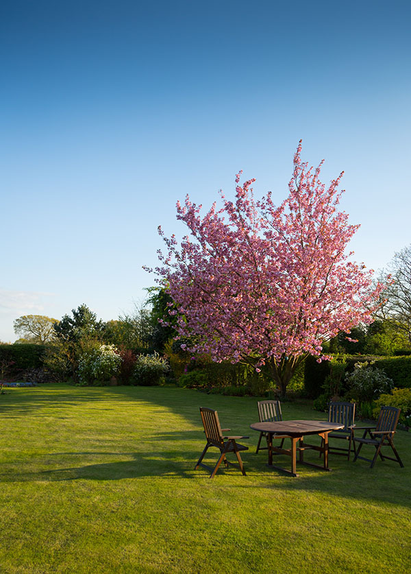 lawn-garden-small